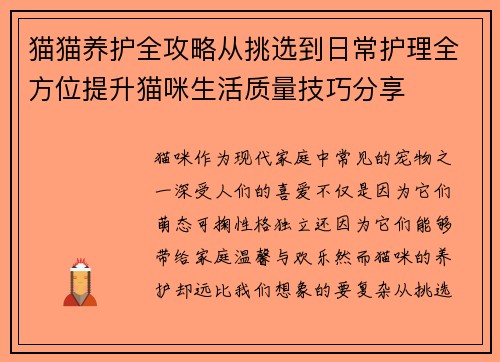 猫猫养护全攻略从挑选到日常护理全方位提升猫咪生活质量技巧分享